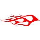 Flame 496